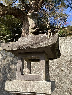 大江神大神宮逆さ狛犬1